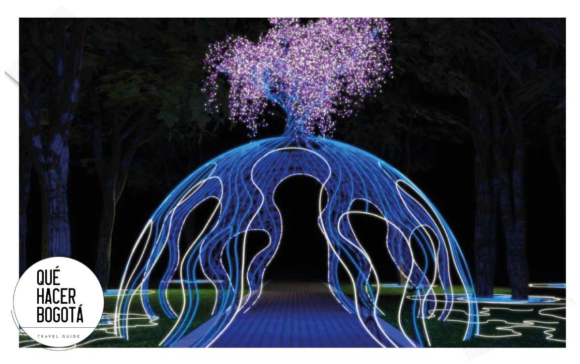 Majestuosos 2023: recorrido que ilumina el Jardín Botánico
